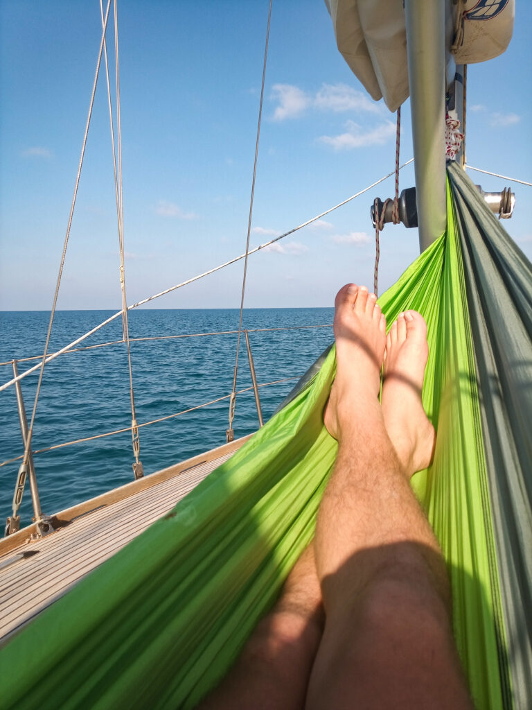 IMG 20221018 153331 638 768x1024